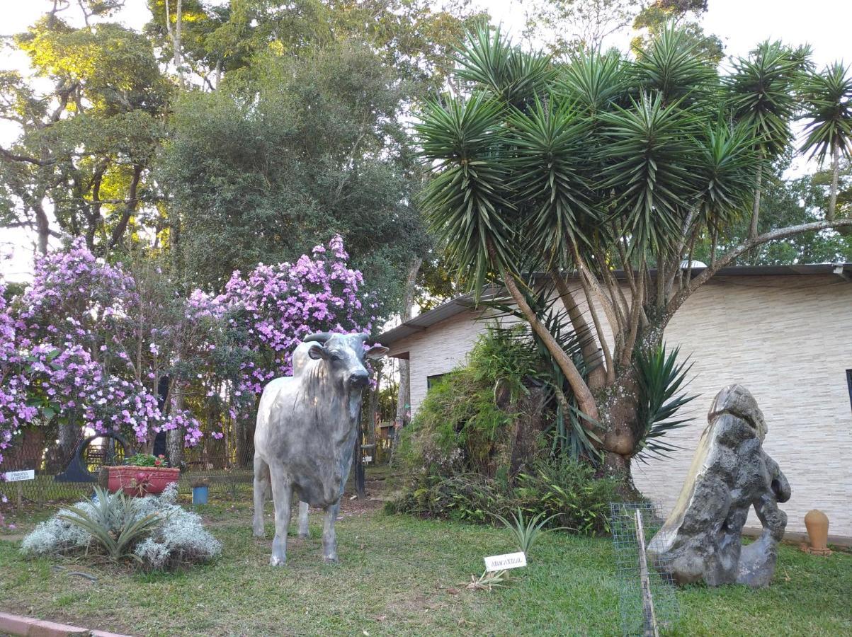 Pousada Juriti - Eco Hotel São Roque Kültér fotó